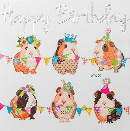 Happy Birthday Guinea Pig Card