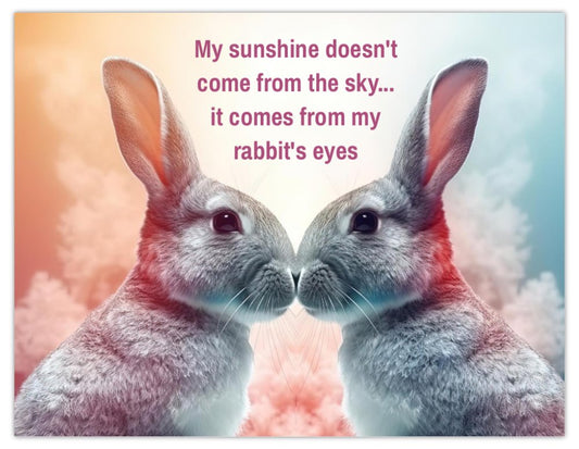 My Sunshine Bunny Rabbits Fridge Magnet
