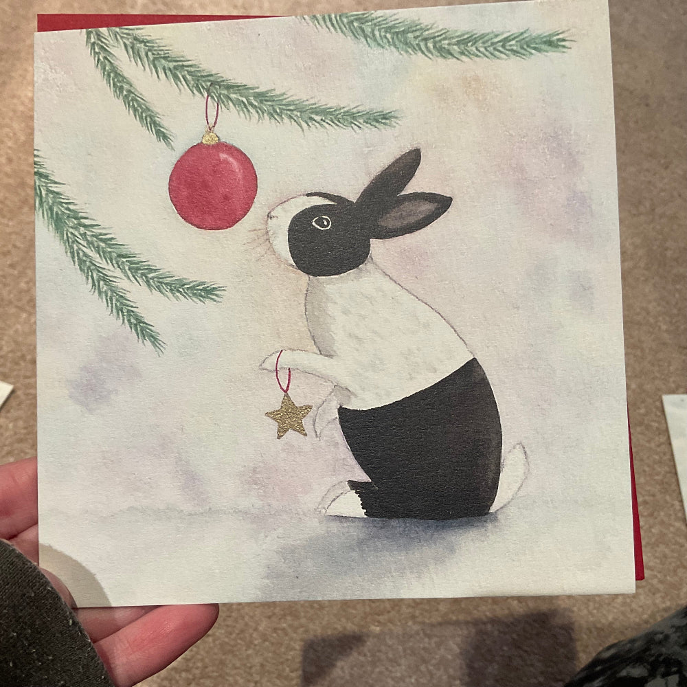 Make a wish dutch rabbit Christmas cards