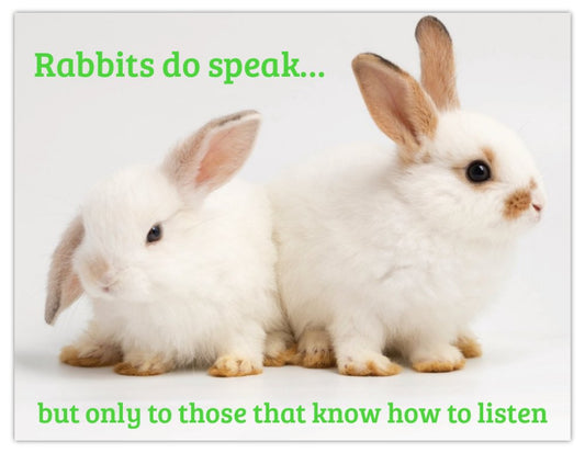 Rabbits Do Speak To Those That Know How To Listen Fridge Magnet