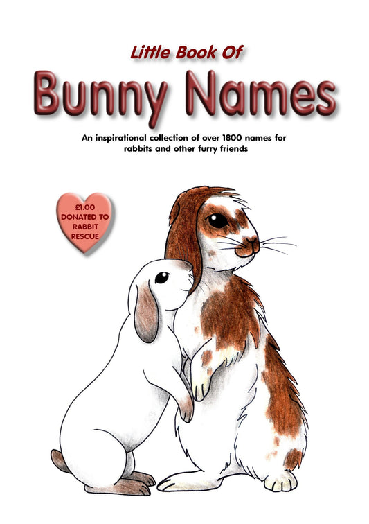 SALE - Bunny Names Book - Bunny Creations