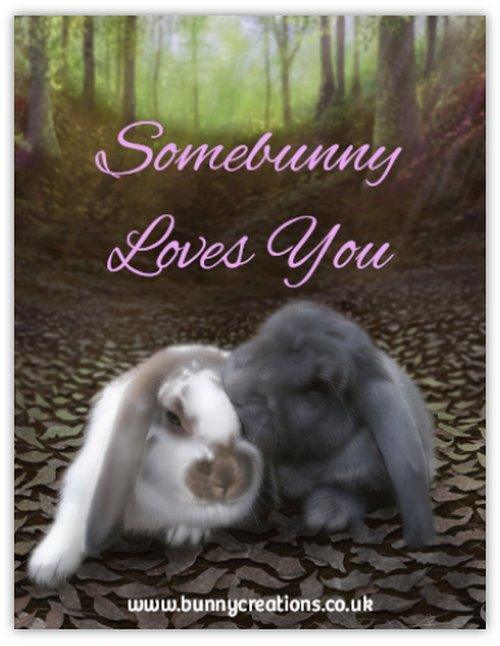 Exclusive Somebunny Loves You Bunny Rabbit Fridge Magnet - Bunny Creations